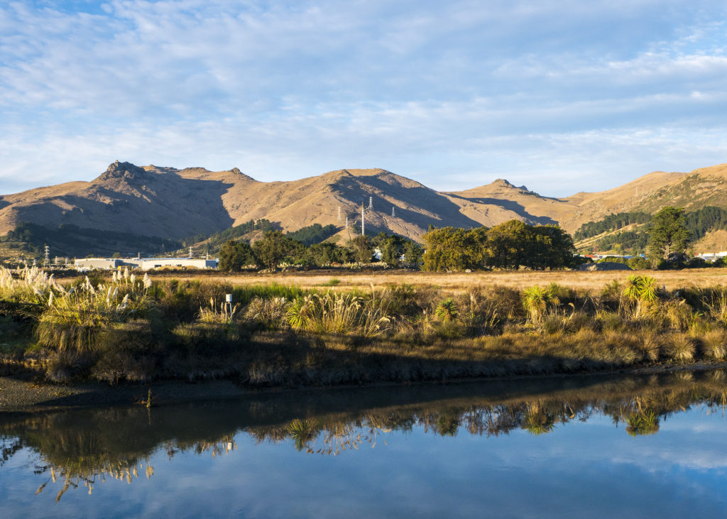 tussock_hill_2_1024x731.jpg